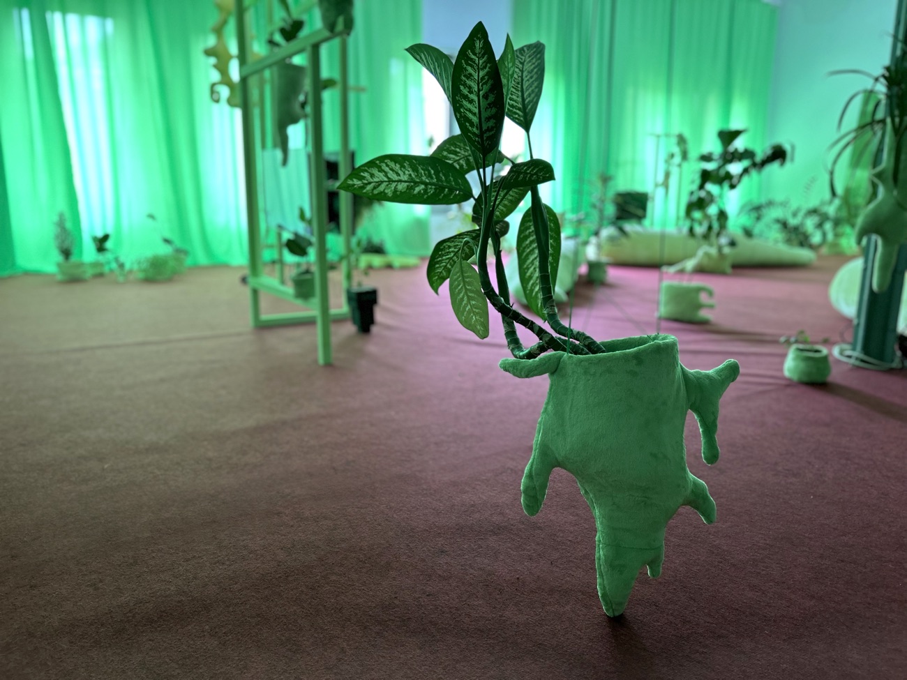 Green-lit table with glassware, drinks and hanging plants