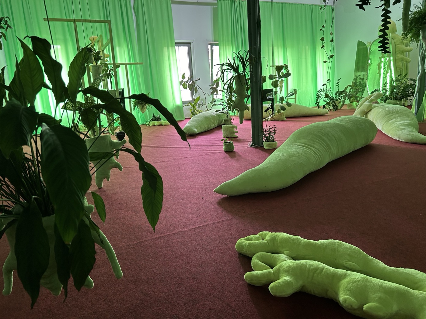 Green wilderness installation, wide view