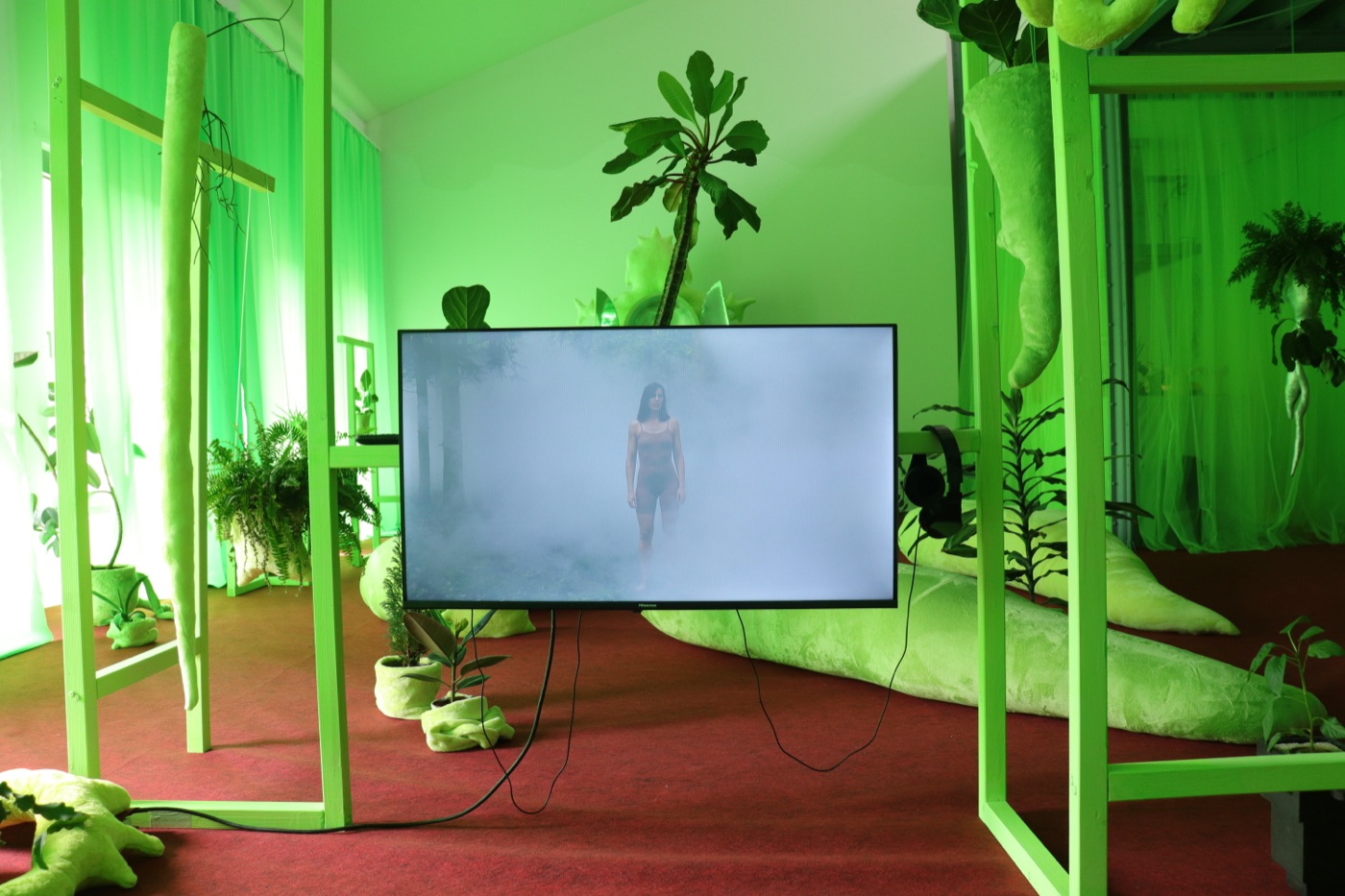 Green wilderness installation with a video monitor